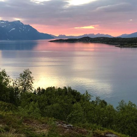 Aaroybukt Guesthouse Aroybukta Exteriör bild