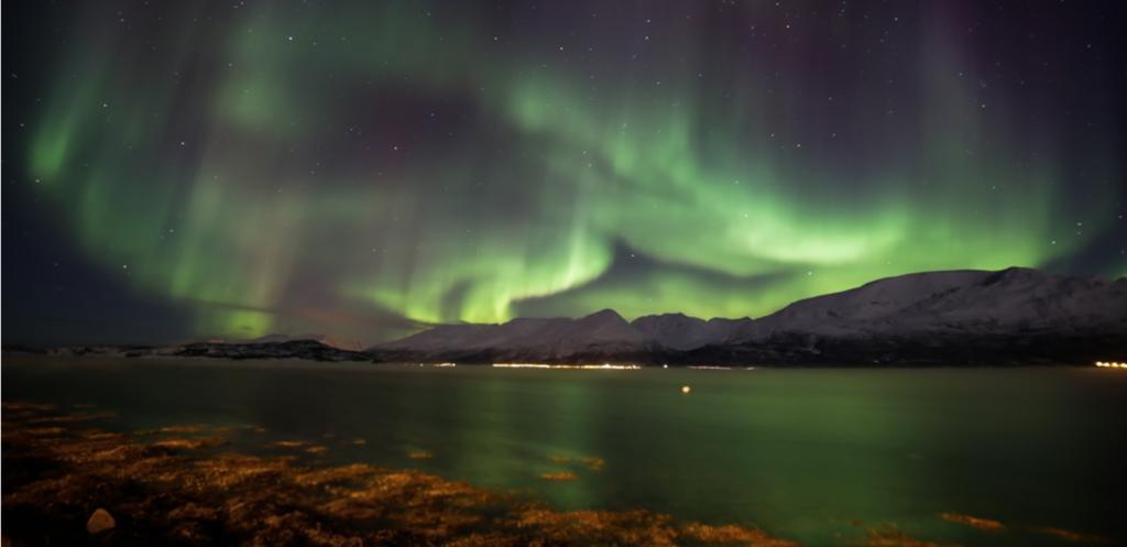Aaroybukt Guesthouse Aroybukta Exteriör bild